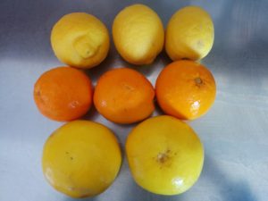 naranjas, pomelos y limones